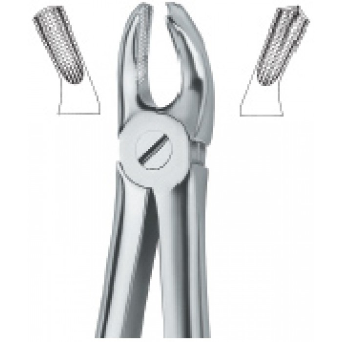 Molars 18