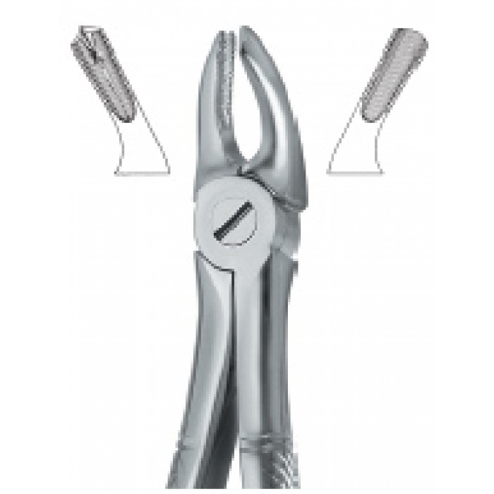 Molars , Right 39R