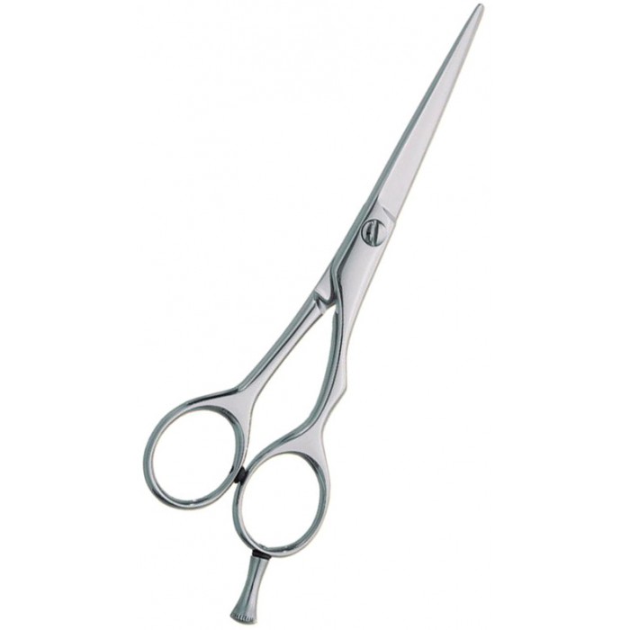 Professional hair Cutting Scissors