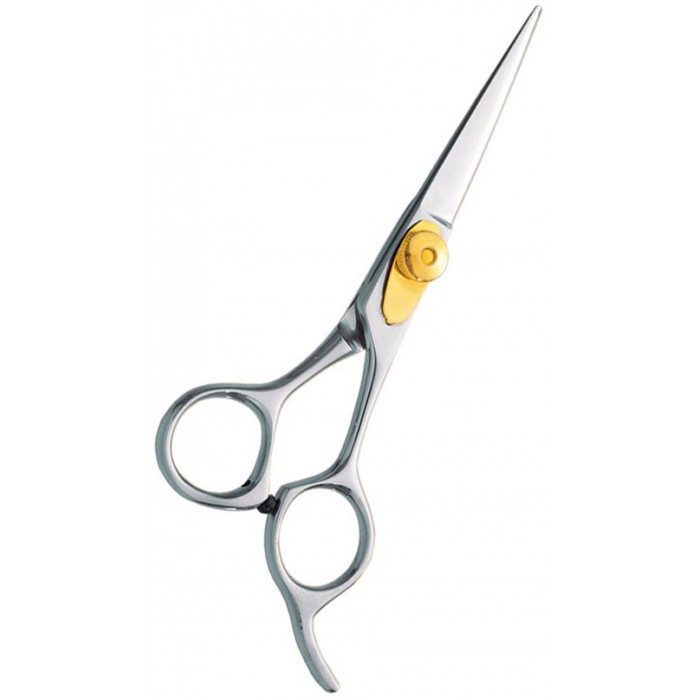 Professional hair Cutting Scissors